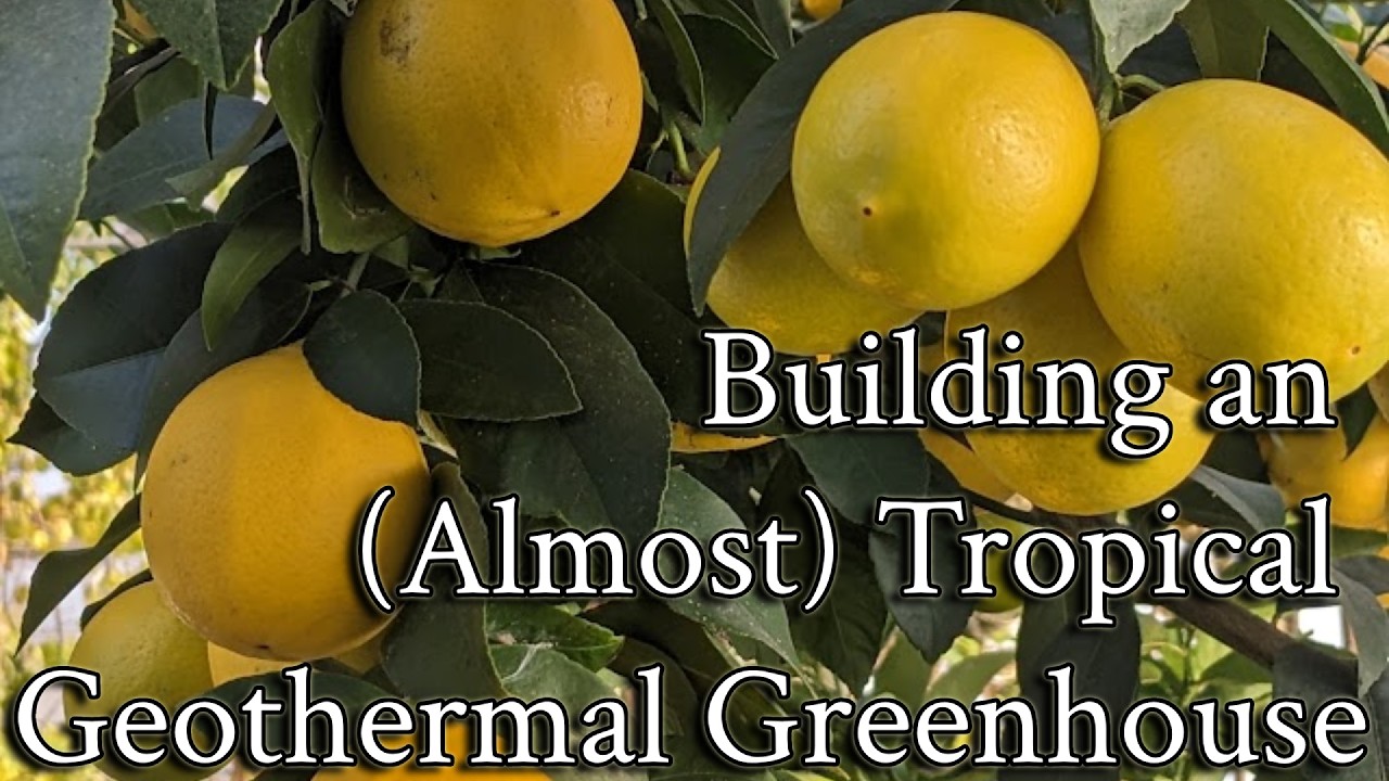 Building an (Almost) Tropical Geothermal Climate Battery Greenhouse in a Temperate Climate