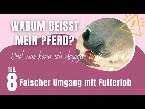 Was kann ich tun, wenn mein Pferd schnappt oder beißt? – Teil 8/9