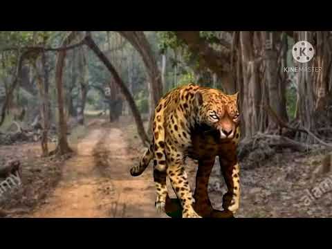Leopard VFX