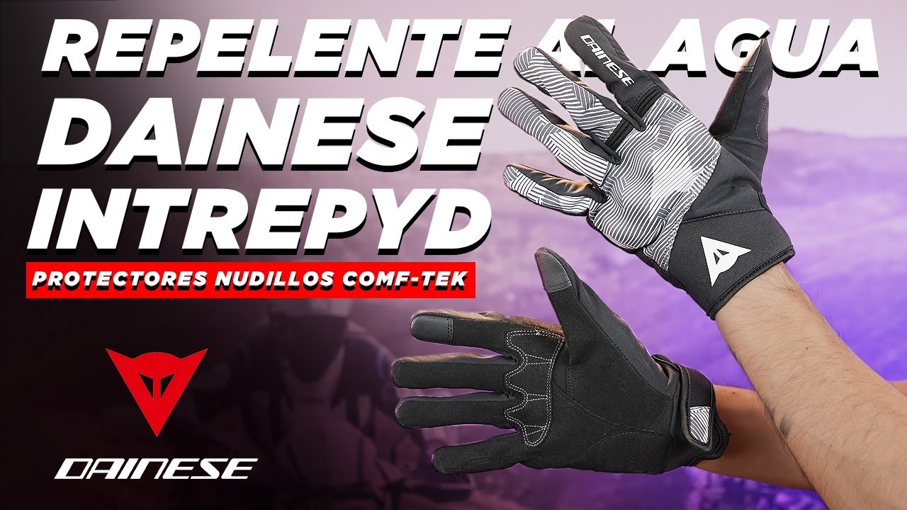 Dainese Intrepyd