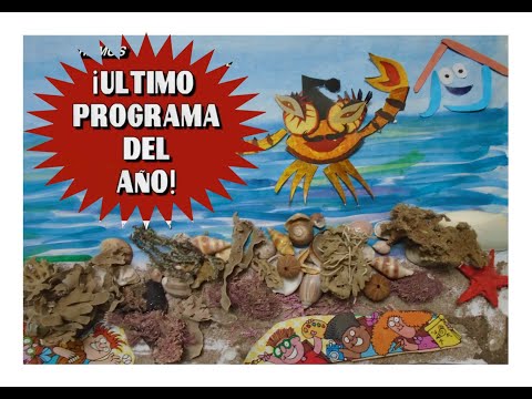 El cangrejo Don Alejo Cornejo nas cuenta generalidades das tortugas marinas