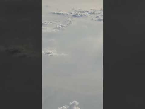 how was the scene guys || pmx vlog #shorts  #pmx #trending