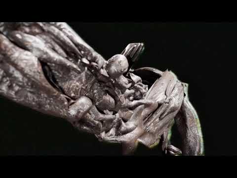 Shapednoise - Know Yourself feat. Brodinski & Zelooperz (Official Video)