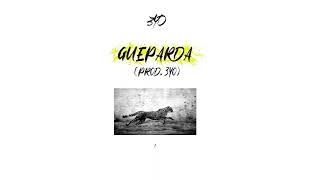 Gueparda Music Video