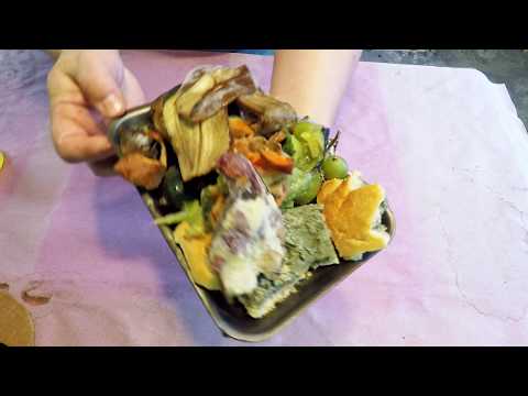 Nightcrawlers in outdoor bin & in basement bags are fed - vermicomposting