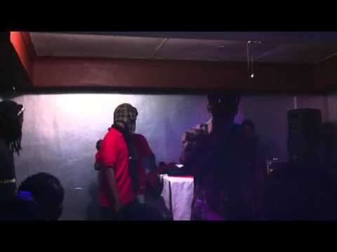 NOELLO SHUTTING BULL AND BUSH DOWN