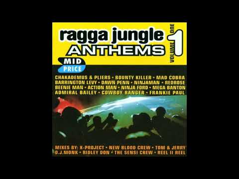 Various - Ragga Jungle Anthems Vol. 1 (1995)