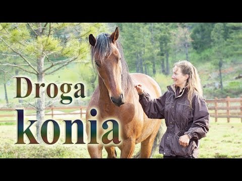 Nazwy wszystkich grup mięśniowych w organizmie Jak zbudować mięśnie na wewnętrznej stronie ud