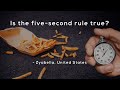 Is the five-second rule true?
