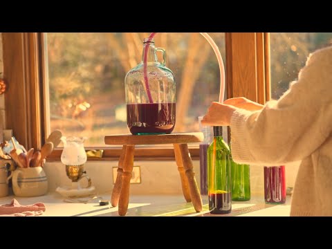 一粒の種からワインが出来るまでの物語🍷手作りの暮らしとガーデン🌿