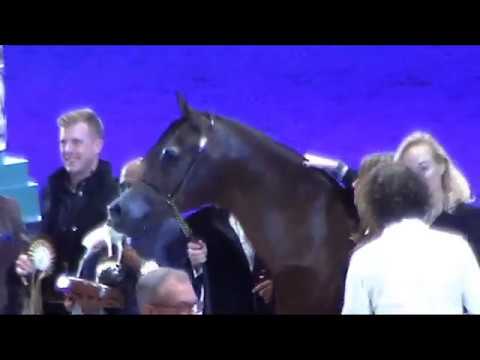 Memories of Paris 2018 - World Championships - Part 18 - Championship - Senior Male