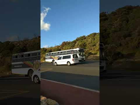Thumbnail for Man Bus Just Goes Fast : Man Bus | #manbus #speed #fast #power #horsepower #man #share by Bus