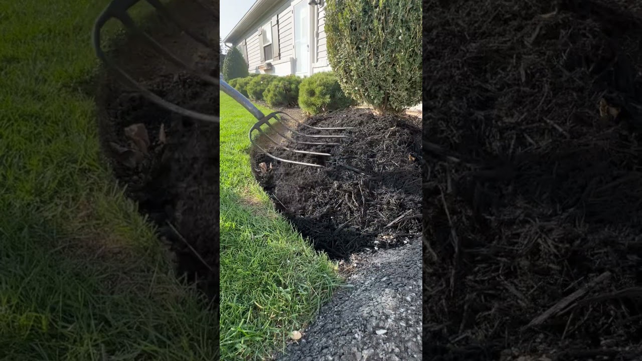 Which color mulch is best? Red, Black or natural? #mulch #mulching #garden #flowerbed #red #black