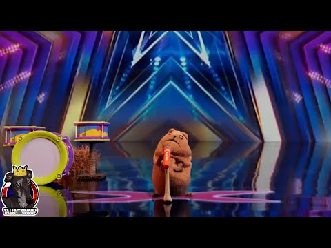 Noodle and Bun Full Performance | America's Got Talent 2023 Auditions Week 8