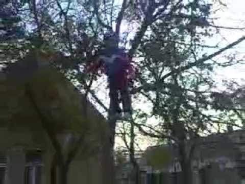 Igris - Saritura din copac 2