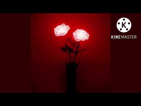 𝑠𝑡𝑎𝑟𝑏𝑜𝑖3 - 𝑑*𝑐𝑘 𝑓𝑡. 𝑑𝑜𝑗𝑎 𝑐𝑎𝑡 (𝑠𝑙𝑜𝑤𝑒𝑑 + 𝑟𝑒𝑣𝑒𝑟𝑏)