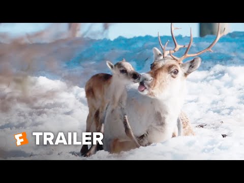 A Reindeer's Journey Trailer #1 (2019) | Movieclips Indie