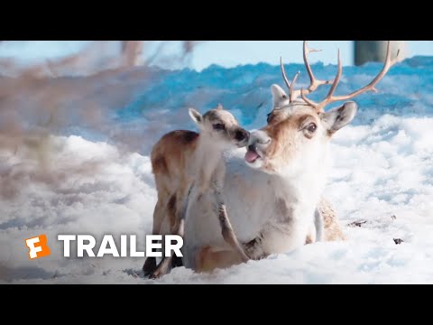 A Reindeer's Journey (2018) Trailer