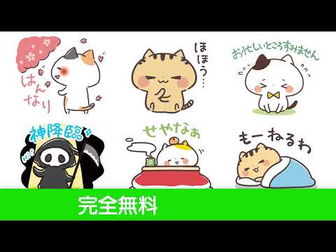 Kansai Cats Stickers Video