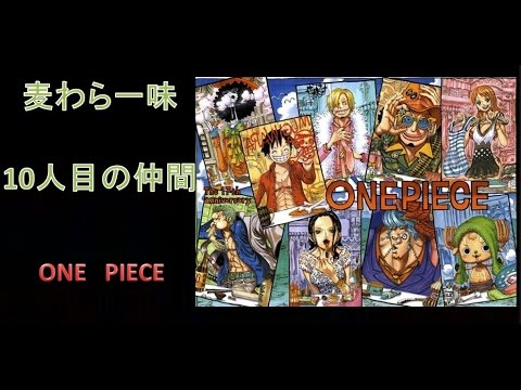 ワンピース　麦わら一味　10人目の仲間は悪魔の実の能力者!?　最も可能性の高い仲間候補 Video