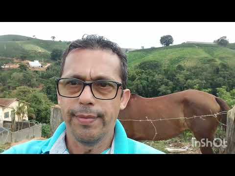 Belíssimas plantações de cafés na zona rural de Muzambinho-MG!#minasgeraisbrasil#vidanaroça#fazenda 