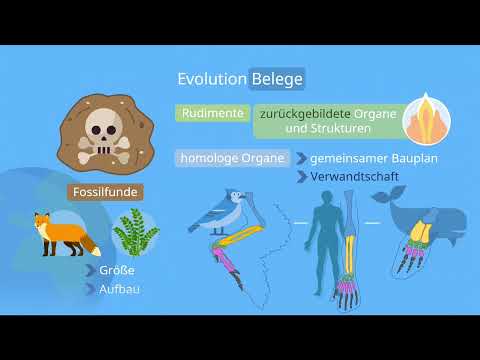 Was ist evolution? Studyflix