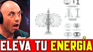Estoy suplicándole que aprendas a vibrar de la manera correcta