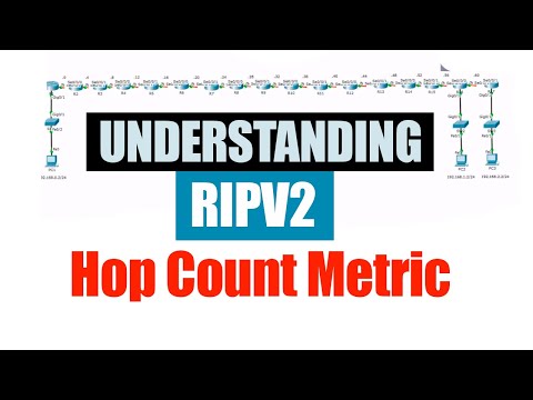 image-What is universal count?