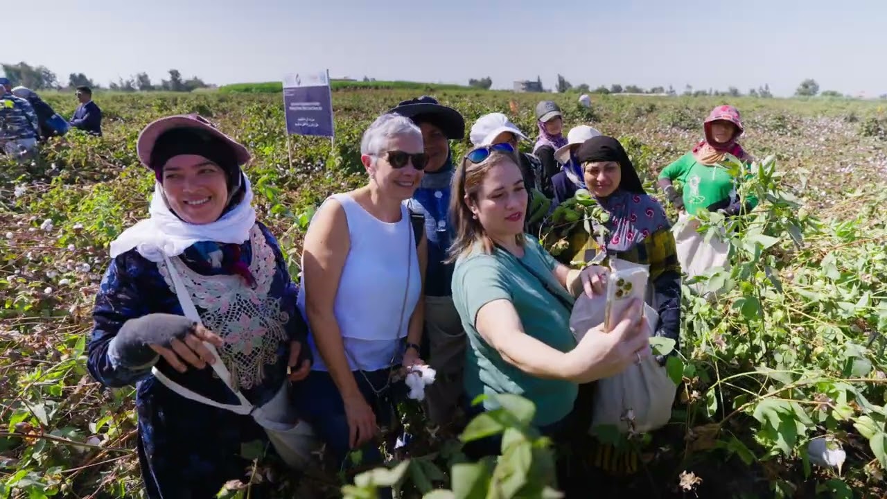 Egyptian Cotton advancing in regenerative practices