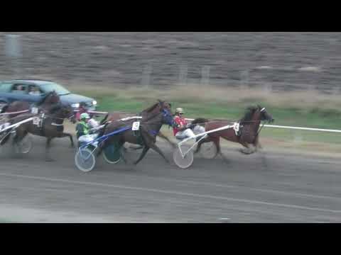 Trka "ROBERTO" 26 08 2018 Ragi Cocks-Andor Andjal