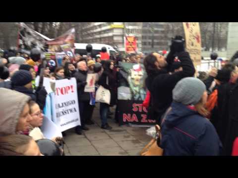 26-11-2014 Manifestacja przeciw ustawie zezwalającej doświadczenia na zwierzętach