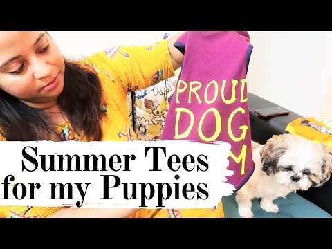 Summer Shopping For My Puppies Video