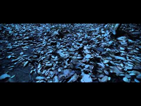 The Conjuring 2: Official Teaser Trailer