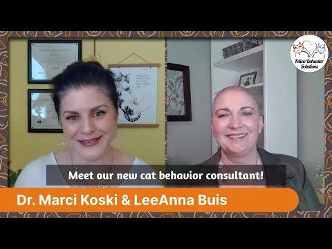 Meet our new feline behavior consultant, LeeAnna Buis!