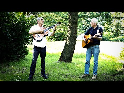 Der Rat der Motten - Witthüser & Westrupp Cover