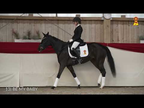 Lot 13: Be My Baby v. By your Side x San Romantiko