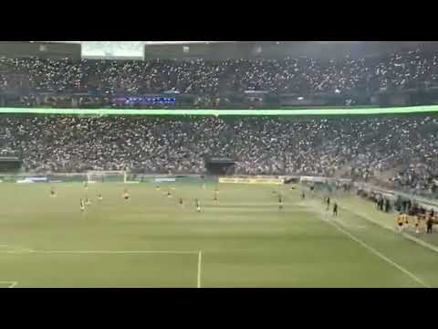 FESTA NO CHIQUEIRO 🐷 TORCIDA DO PALMEIRAS É ESPETACULAR   ⚪🟢