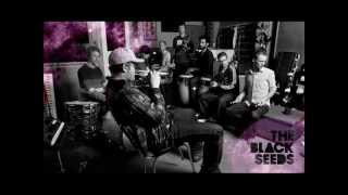 The Black Seeds - Love is a radiation