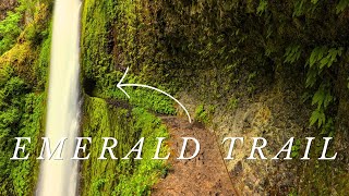Tunnel Falls Backpacking with Dan Becker and His Son on Oregon's PCT