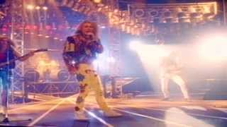 White Lion - Little Fighter