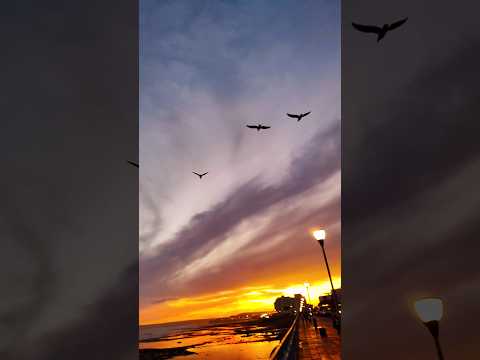 Atardecer comodorense #nubes #patagonia #chubut #comodororivadavia