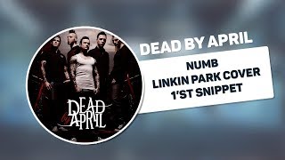 Dead By April - Numb (Linkin Park Cover - Snippet)