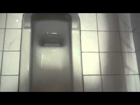 4086: Toto Squat Toilet