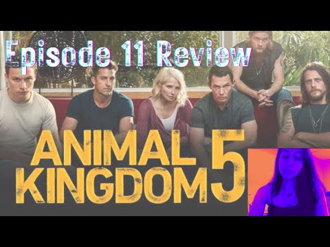 Animal Kingdom Season 5 Episode 11 Review & Theories