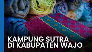 Cari Kain Sutra Asli? Datanglah ke Kampung Sutra di Kabupaten Wajo