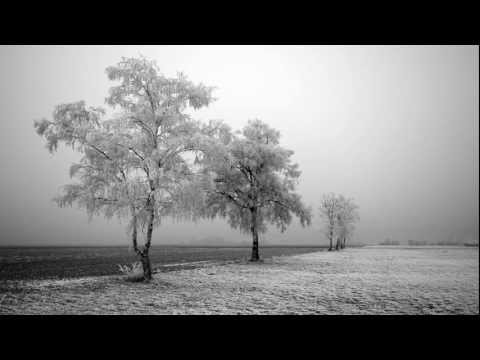 James Reynolds - Life In Slow Motion