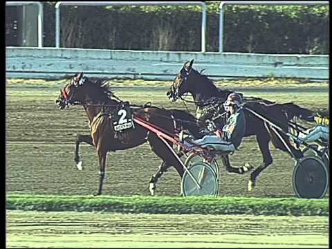 Trotto 15/04/2016 - 7° Corsa