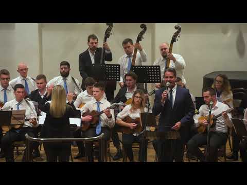 5. GM Adalbert Marković - Tko joj ljubi uplakano lice - Siniša Leopold (solist Đani Stipaničev)