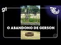 Fantástico Da Infância Sem Cuidado à Tragédia No Zoológico Como Foi A Vida De Gerson
