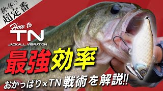【TNの教科書 Vol.4】大規模リザーバーにおける最強効率の釣り教えます。｜How to TNバイブレーション / 村上祥悟